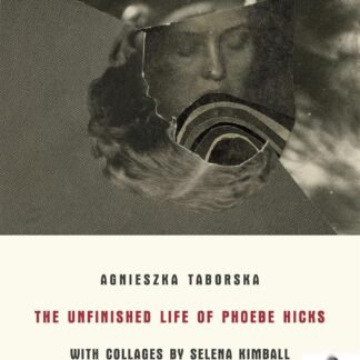 The Unfinished Life of Phoebe Hicks (Hardcover)
